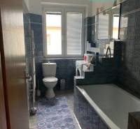 Koupelna v 2-pokojovém bytě s vanou, pračkou a tmavými obklady.