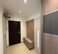 Vstupní hala 3pokojového bytu se skříní a věšákem, světlé prostředí.