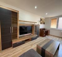 Obývací pokoj v 3pokojovém bytě s podlahou s dřevěným dekorem a moderním nábytkem.