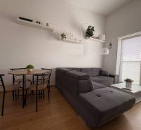 Obývací pokoj s tmavě šedou pohovkou a podlahou s dřevěným dekorem v 2-pokojovém bytě.