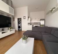 Obývací pokoj s velkou sedačkou, podlahou s dřevěným dekorem a televizorem v 2-pokojovém bytě.