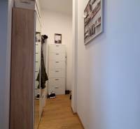 Úzká chodba v 2-pokojovém bytě s podlahou s dřevěným dekorem a šatníkem.