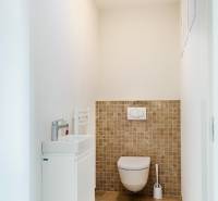 Toaleta s umyvadlem, stěnami ve světlých barvách a dlažbou v rodinném domě.