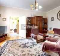 Obývací pokoj v rodinném domě s rustikálním nábytkem a množstvím pokojových rostlin.