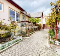 V Lučenci rodinný dům s terasou, zahrádkou a vinnou révou na dlážděné cestičce.