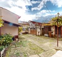 Dvůr rodinného domu v Lučenci s vinnou révou a rozmanitou vegetací.