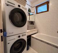 Koupelna se sušičkou a pračkou v 5 a více pokojovém bytě.