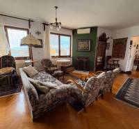 Obývací pokoj v 5 a více pokojovém bytě s podlahou s dřevěným dekorem a klasickým nábytkem.