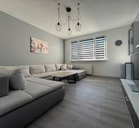 Obývací pokoj v 3-pokojovém bytě s pohovkou a podlahou s dřevěným dekorem.