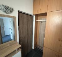 Vstupní hala s úložnými prostory v 3pokojovém bytě, podlaha s dřevěným dekorem.