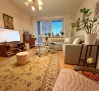 Obývací pokoj v 3-pokojovém bytě s příjemným osvětlením, podlahou s dřevěným dekorem a pohodlnou sedačkou.