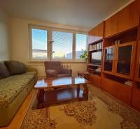 Obývací pokoj s pohovkou, křeslem, dřevěným nábytkem a podlahou s dřevěným dekorem ve 3pokojovém bytě.