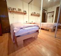 Ložnice v 3-pokojovém bytě s postelí, zrcadlovou skříní a podlahou s dřevěným dekorem.