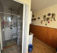 Koupelna se sprchovým koutem a podlahou s dřevěným dekorem ve 3-pokojovém bytě.