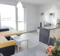 Interiér 2-pokojového bytu s kuchyní, pohovkou a podlahou s dřevěným dekorem.