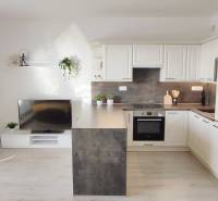 Obývací pokoj s kuchyňským koutem, světlá podlaha s dřevěným dekorem v 2-pokojovém bytě.