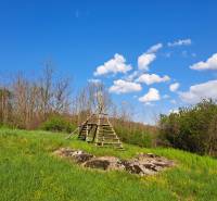Zeleň a dřevěná struktura na pozemcích pro bydlení v Dolních Žemberovcích, Žemberovce.