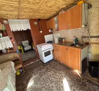 Kuchyně s dřevěným dekorem, pohovkou a kobercem v Zahradách.