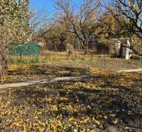 Podzimní zahrada v Bratislavě - Ružinov, Střední, s opadaným listím a stromy.