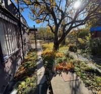 Zahrady na Střední ulici v Bratislavě – Ružinově s chodníkem a stromy.