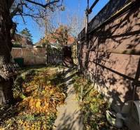 Úzká zahrada v Bratislavě - Ružinově na Střední ulici s chodníkem a stromy.