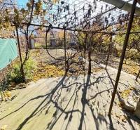 Zahrady na Střední ulici v Bratislavě - Ružinově s popadaným listím vinné révy.