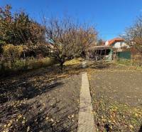 Podzimní zahrada na Střední ulici v Bratislavě-Ružinově s chodníkem a stromy.