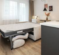 Pokoj s rozkládací pohovkou, podlaha s dřevěným dekorem, světlé závěsy, garsonka.