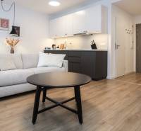 Obývací pokoj s kuchyňským koutem v 1-pokojovém bytě, podlaha s dřevěným dekorem.