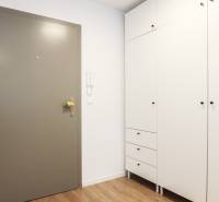 Vstupní hala v 1-pokojovém bytě s bílou skříní a podlahou s dřevěným dekorem.