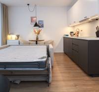 Interiér 1-pokojového bytu s kuchyňskou linkou, pohovkou a podlahou s dřevěným dekorem.