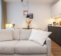 Obývací část s pohovkou a kuchyňským koutem v 1-pokojovém bytě s podlahou s dřevěným dekorem.