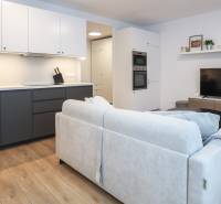 Obývací pokoj jednopokojového bytu s kuchyňskou linkou, gaučem a podlahou s dřevěným dekorem.