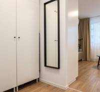 Nábytek v 1-pokojovém bytě s podlahou s dřevěným dekorem a černým stolkem.