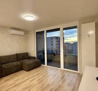 Obývací pokoj v 2-pokojovém bytě s pohovkou, jídelním stolem a podlahou s dřevěným dekorem.