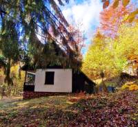 Chata v podzimním lese na ulici Tále v Bystré, obklopená barevnými stromy.