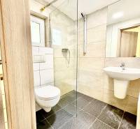 Koupelna v rodinném domě s proskleným sprchovým koutem a tmavou dlažbou.