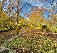 Zahrada u rodinného domu na Hraniční ulici v Bratislavě - Prievoz v podzimním období.