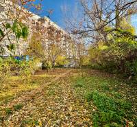 Podzimní zahrada u paneláku na Hraniční ulici v Bratislavě - Prievoze.