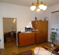 Obývací pokoj v rodinném domě s dřevěnými skříňkami, sedačkou a květinou.