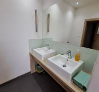 Dvojité umyvadlo v koupelně kanceláří s bílými stěnami a velkým zrcadlem.