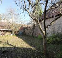 Zahrada rodinného domu na Kostelní ulici v Rajci se stromy a trávníkem.