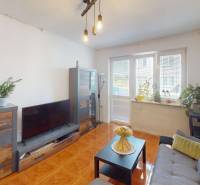 Obývací pokoj v 3-pokojovém bytě s podlahou s dřevěným dekorem a pokojovými rostlinami.