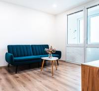 Obývací pokoj v 2-pokojovém bytě s pohovkou, podlahou s dřevěným dekorem a konferenčním stolkem.