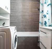 Koupelna v 2pokojovém bytě se sprchovým závěsem, pračkou a úložným prostorem.