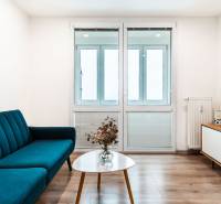 Obývací pokoj v 2-pokojovém bytě s pohovkou, televizorem a podlahou s dřevěným dekorem.