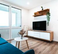 Obývací pokoj v 2-pokojovém bytě s pohovkou, televizí a podlahou s dřevěným dekorem.