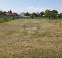 Upravený trávník v zahradách Marcelové s výhledem na okolní domy.