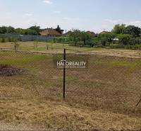 Zahrady v Marcelové s travnatým povrchem a oplocením, stromy v pozadí.