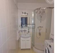 Koupelna 3pokojového bytu s rohovým sprchovým koutem a pračkou.